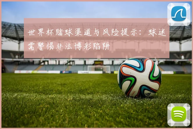 世界杯赌球渠道与风险提示：球迷需警惕非法博彩陷阱