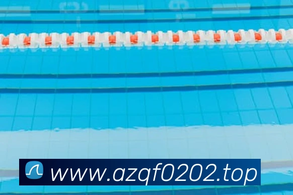 开云app在线入口品牌故事